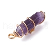 2Pcs 2 Styles Natural Amethyst Double Terminated Pointed Pendants PALLOY-JF03122-01-5