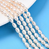 Natural Cultured Freshwater Pearl Beads Strands PEAR-N012-04W-01-1