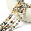 Natural Bamboo Leaf Agate Round Bead Strands G-M248-6mm-04-5