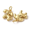 Brass Micro Pave Cubic Zirconia Charms KK-P308-57G-2