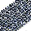 Natural Blue Spot Jasper Beads Strands G-P573-A45-01-2