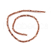 Natural Freshwater Shell Dyed Beads Strands X-SHEL-M018-14-02-2
