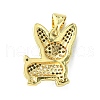 Brass Micro Pave Cubic Zirconia Pendants ZIRC-F138-04G-2