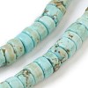 Natural Howlite Beads Strands X-G-P398-B01-2