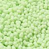 Glass Frosted Seed Beads SEED-K009-05B-06-3