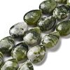 Natural Xinyi Jade/Chinese Southern Jade Beads Strands G-P528-L01-02-2