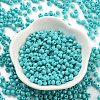 Baking Paint Glass Seed Beads X1-SEED-A032-02H-2