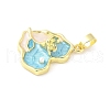 Brass Enamel Pendants KK-Z101-09G-C01-2