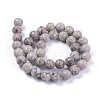 Natural Maifanite/Maifan Stone Beads Strands G-F353-4mm-4