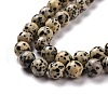 Natural Dalmatian Jasper Beads Strands G-Q462-10mm-30-5
