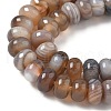 Natural Agate Beads Strands G-H295-C03-18-5