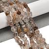 Natural Quartz Beads Strands G-P497-01E-38-2