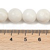 Natural White Shell Beads Strands BSHE-U002-01-5