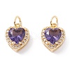 Brass Micro Pave Cubic Zirconia Charms ZIRC-A019-14G-D-1