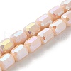 Electroplate Glass Beads Strands EGLA-D030-06B-1