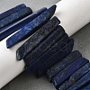 Natural Lapis Lazuli Beads Strands G-S386-D13-1
