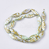 Drawbench Freshwater Shell Beads Strands X-SHEL-T014-008B-03-2