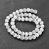 Cat Eye Beads G-V002-A01-01-2