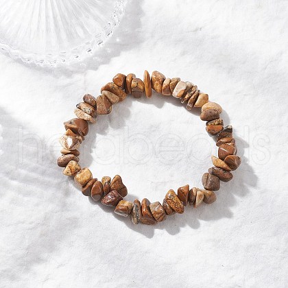 Natural Picture Jasper Beads Stretch Bracelets for Men Women BJEW-JB11845-1