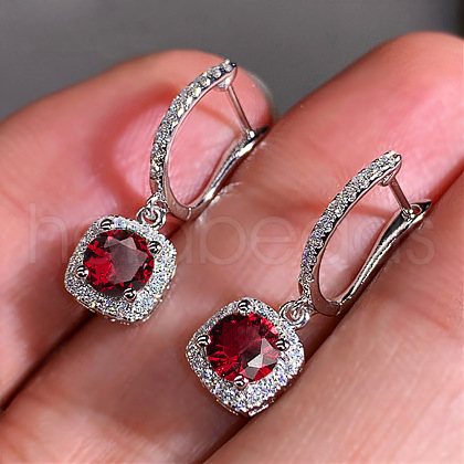 Brass Cubic Zirconia Hoop Earrings WGBBAEC-02-1