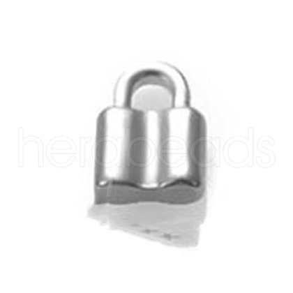Stainless Steel Charms PW-WGC5F43-03-1