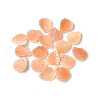 Natural Sea Shell Carved Leaf Charms SSHEL-C013-02A-1