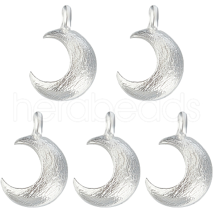 Beebeecraft 5Pcs 925 Sterling Silver Charms STER-BBC0006-15-1