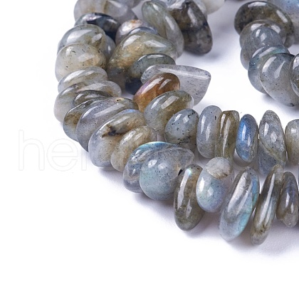 Natural Labradorite Beads Strands G-I225-15A-1