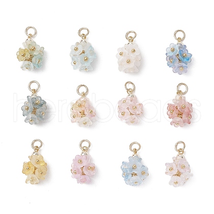 12Pcs Flower Transparent Acrylic Pendants PALLOY-JF03894-1