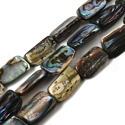 Natural Abalone Shell/Paua Shell Beads Strands BSHE-D300-01B-1