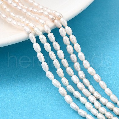 Natural Cultured Freshwater Pearl Beads Strands PEAR-I007-01L-01B-1
