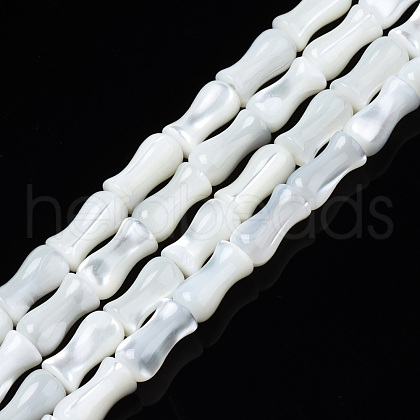 Natural Trochid Shell/Trochus Shell Beads Strands SSHEL-N034-122-B01-1