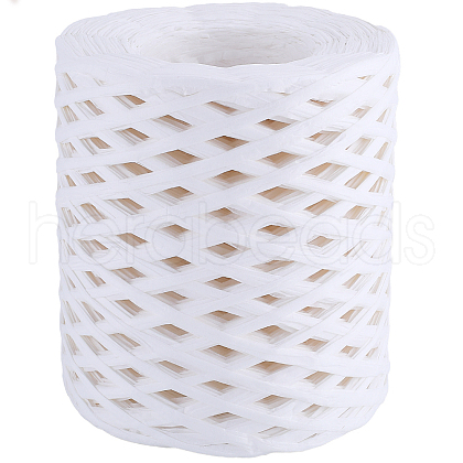 Raffia Paper Cords OCOR-WH20015-05A-1