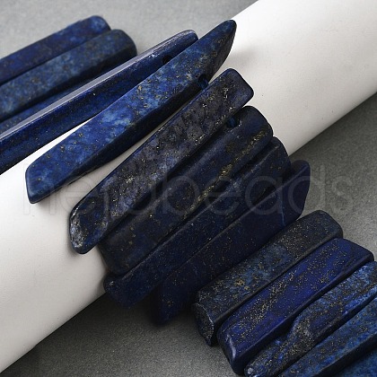 Natural Lapis Lazuli Beads Strands G-S386-D13-1