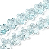 Transparent Glass Beads Strands GLAA-H038-02C-1