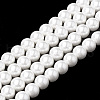 Shell Pearl Beads Strands X-BSHE-S301-10mm-04-1