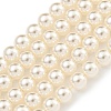 Glass Pearl Beads Strands X-HY-G002-01B-02-1