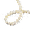 Natural White Shell Bead Strands SSHEL-N003-144D-01-4