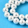 Rainbow Plated Shell Pearl Bead Strands BSHE-L025-02-8mm-3
