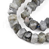 Natural Labradorite Beads Strands G-N347-09A-11-4