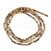 Natural Picture Jasper Beads Strands G-P572-B03-2mm-3