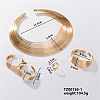 Elegant Luxury Iron Jewelry Set TA0228-1-1