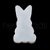 Rabbit Display Decoration DIY Silhouette Silicone Molds SIMO-H142-02B-4
