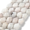 Natural Rainbow Moonstone Beads Strands G-C182-21-02-2