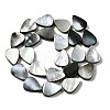 Natural Black Lip Shell Beads Strands BSHE-D300-04C-2