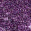 8/0 Glass Seed Beads SEED-A016-3mm-213-2