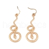 Alloy Dangle Earrings EJEW-R021-05KCG-1