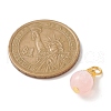 Resin Imitation Cat Eye Pendants PALLOY-JF02179-02-3