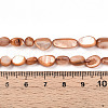Natural White Shell Beads Strands SHEL-N036-21E-4