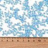Glass Seed Beads SEED-XCP0001-31-4